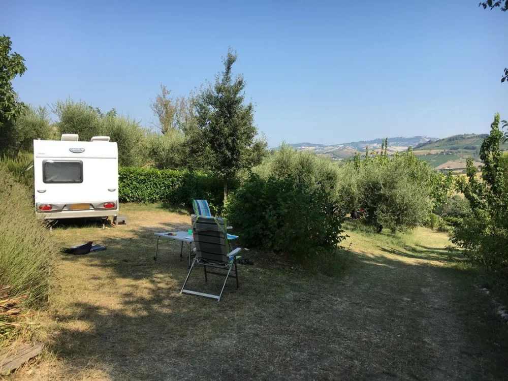 Agriturismo Lavanda Blu (+app+B&B)