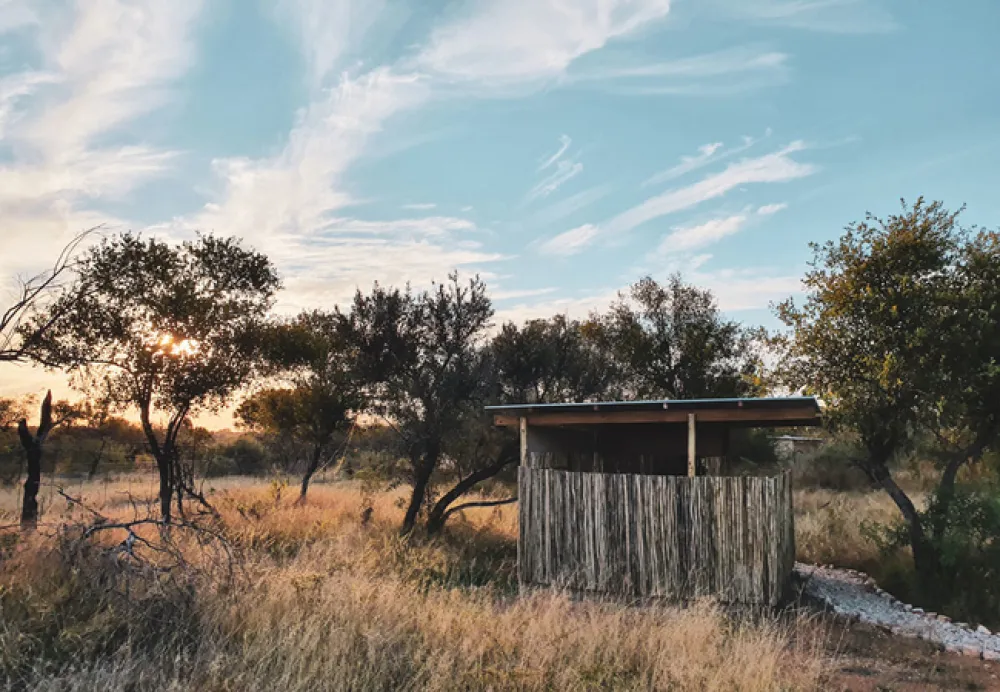 Leadwood Safari Camp