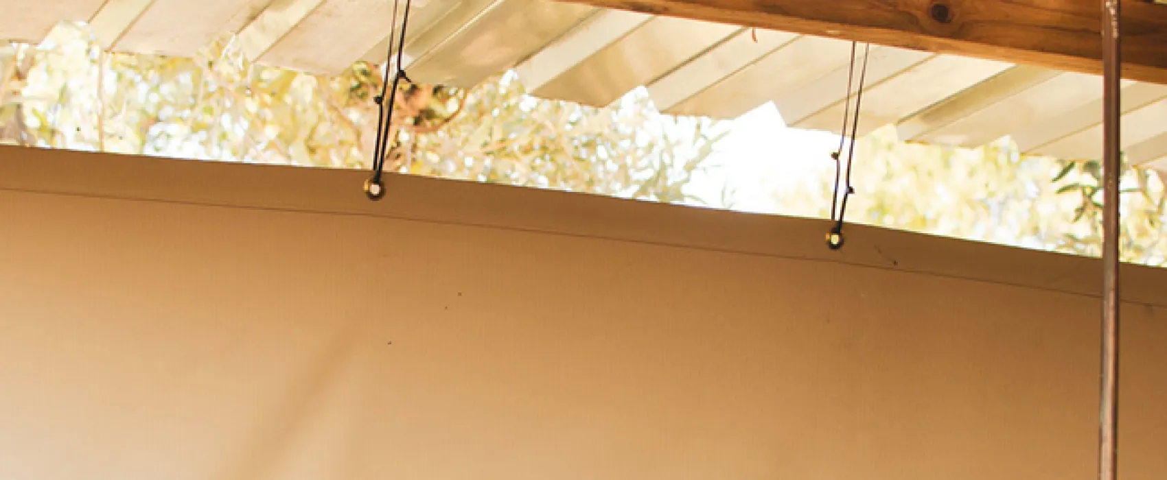 Leadwood Safari Camp