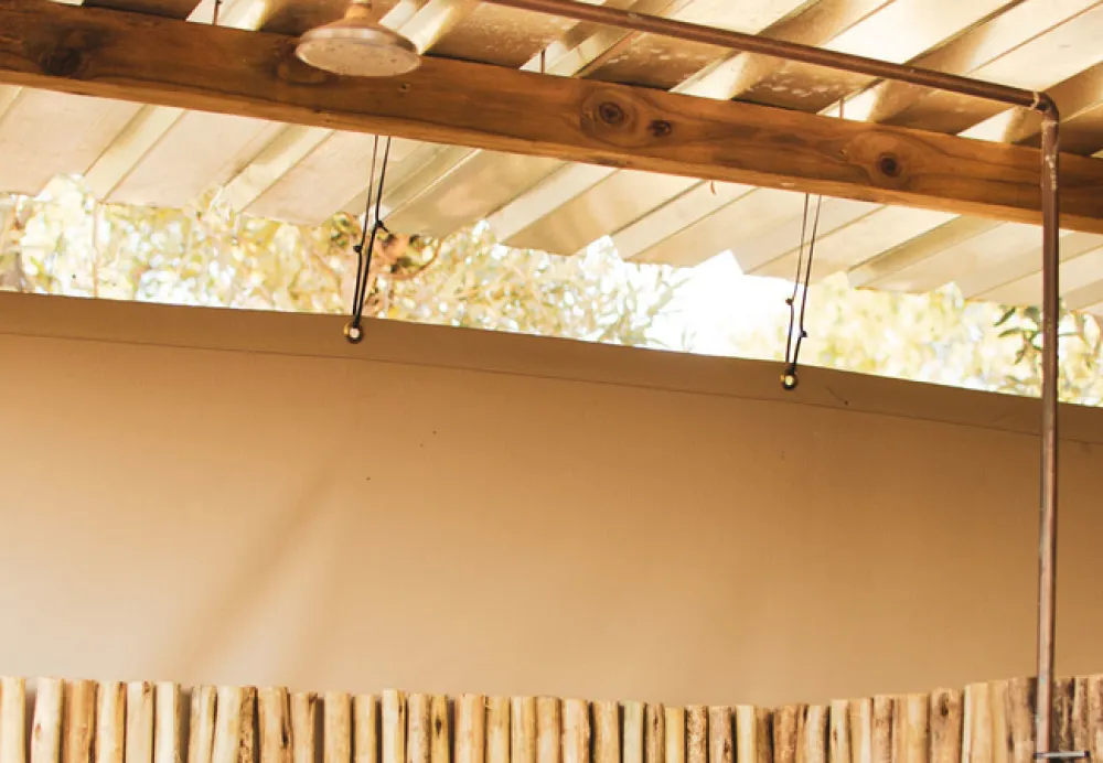 Leadwood Safari Camp