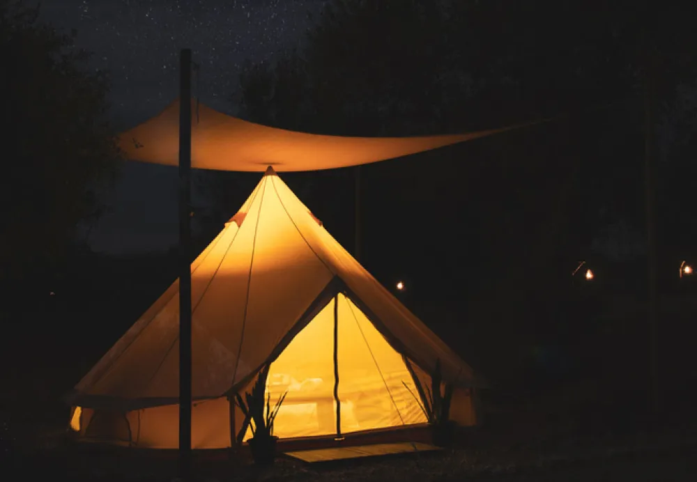 Leadwood Safari Camp