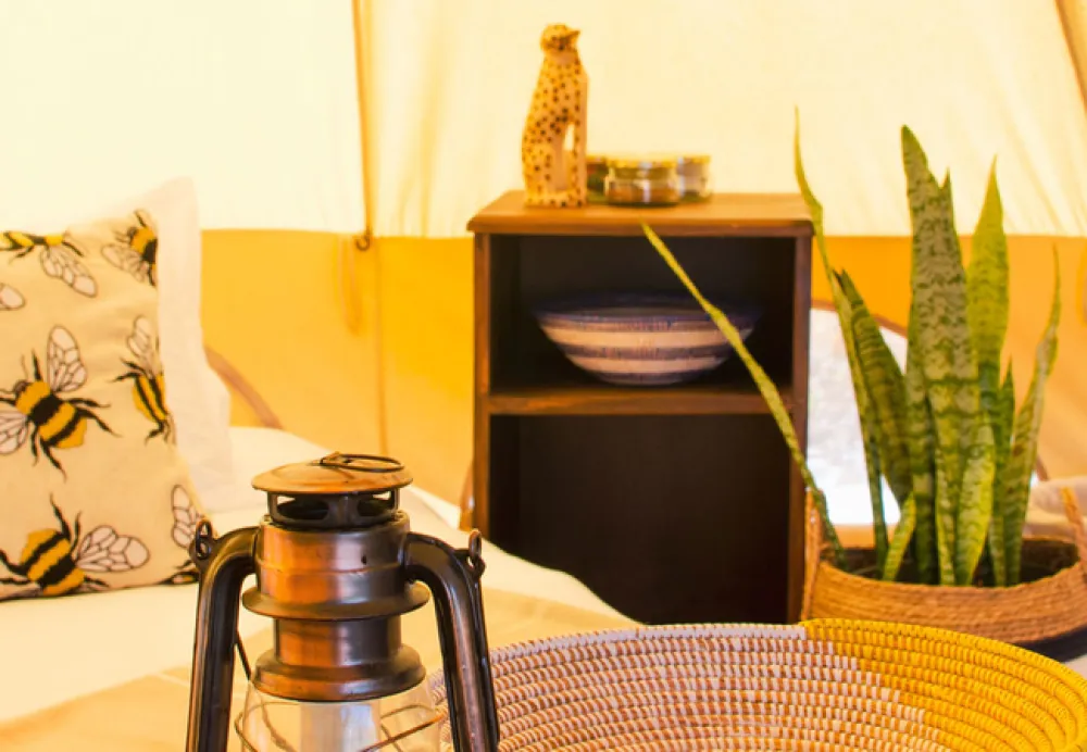 Leadwood Safari Camp