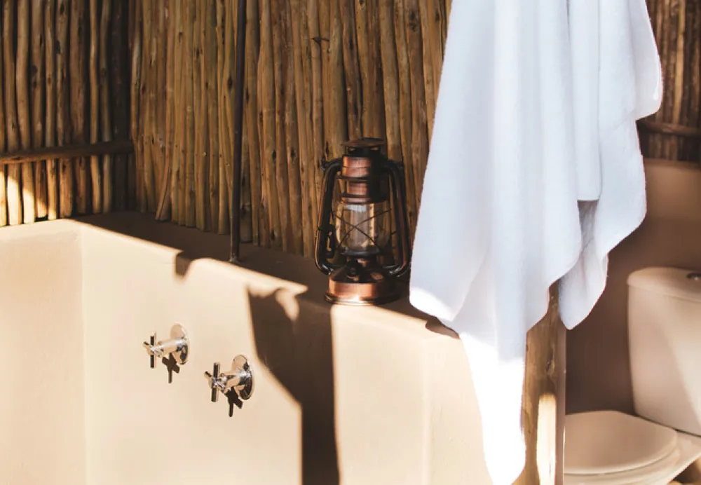 Leadwood Safari Camp