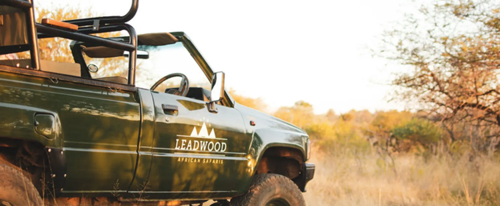 Leadwood Safari Camp