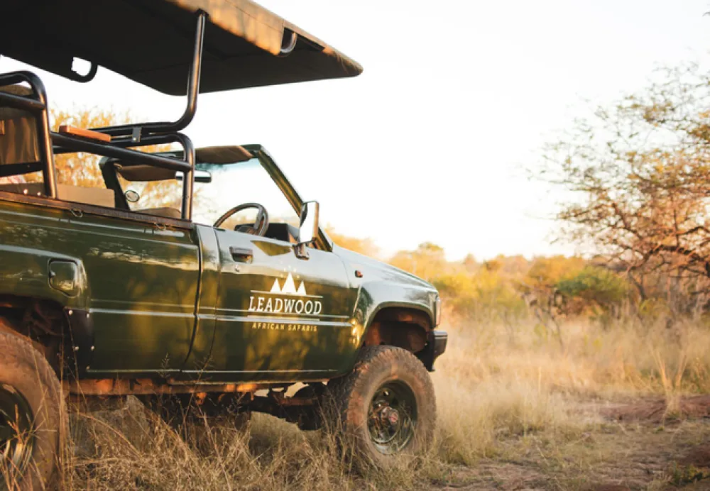 Leadwood Safari Camp