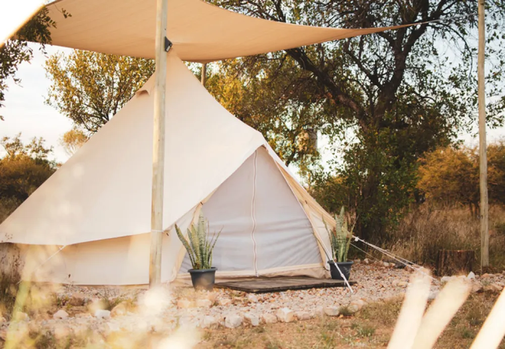 Leadwood Safari Camp