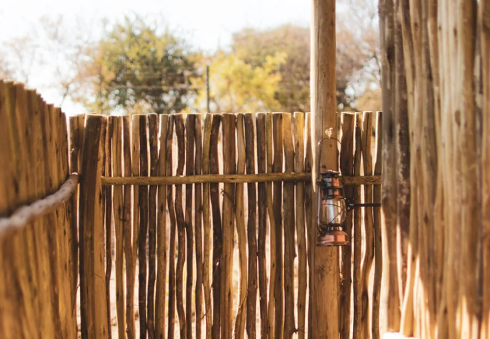 Leadwood Safari Camp