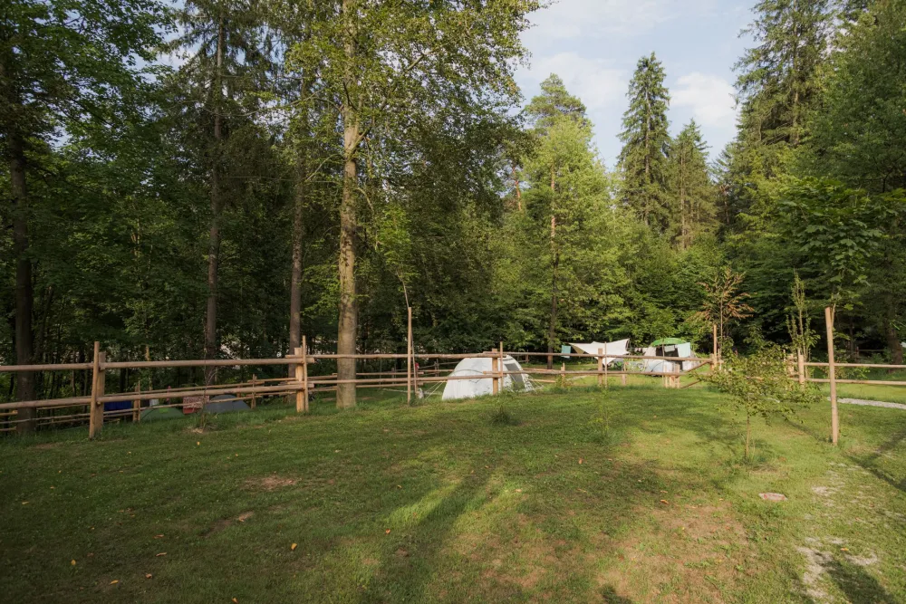 Forest Camping Mozirje