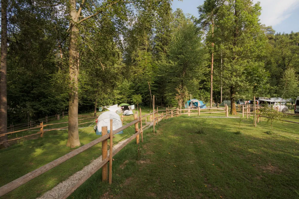 Forest Camping Mozirje
