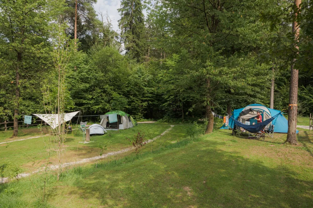Forest Camping Mozirje