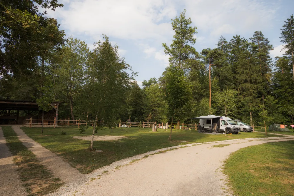 Forest Camping Mozirje