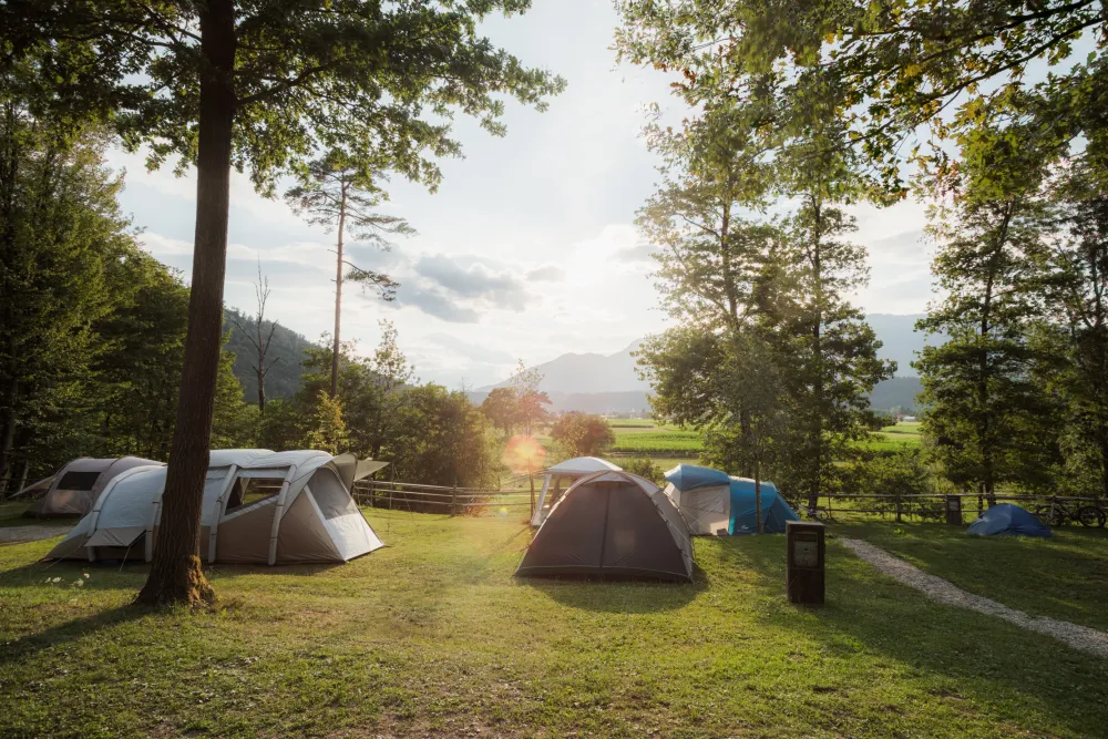 Forest Camping Mozirje