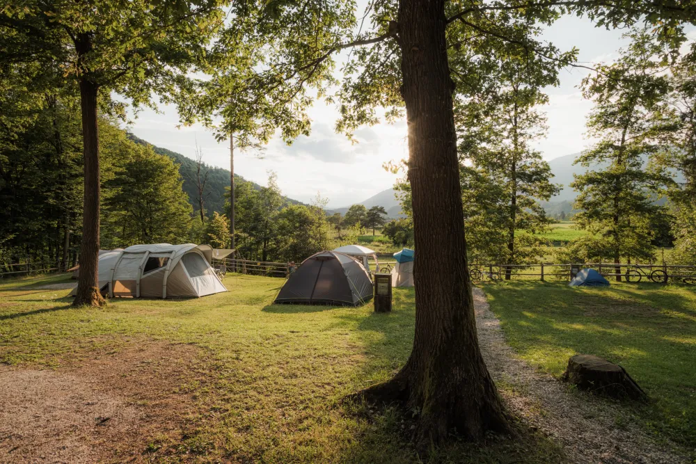 Forest Camping Mozirje