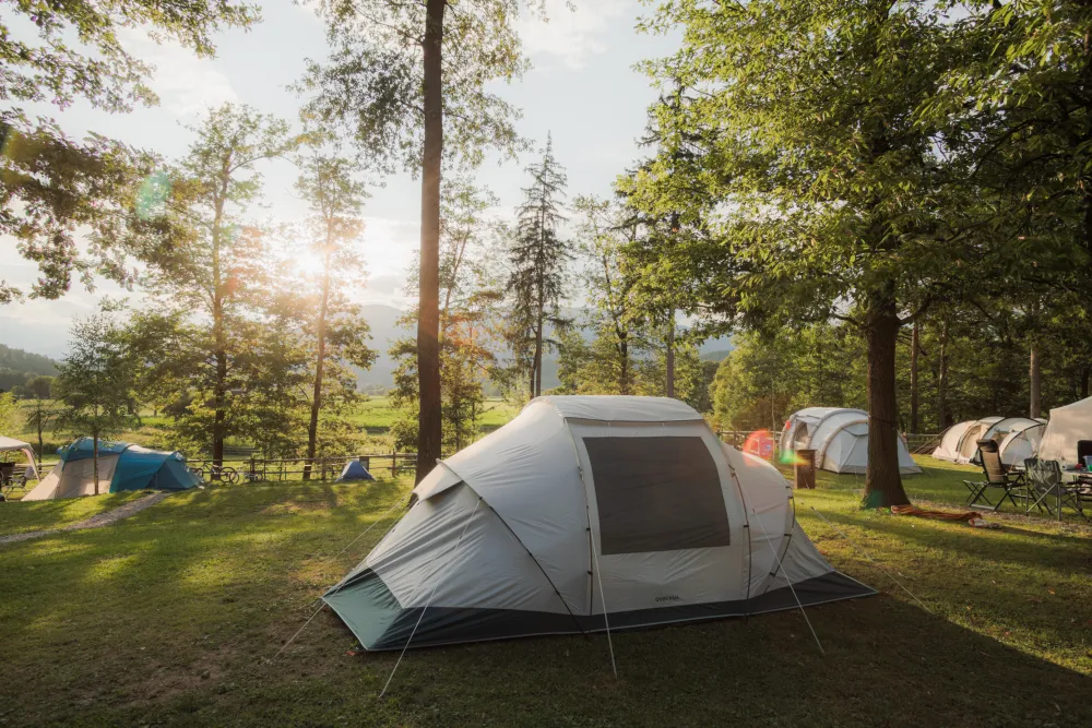 Forest Camping Mozirje