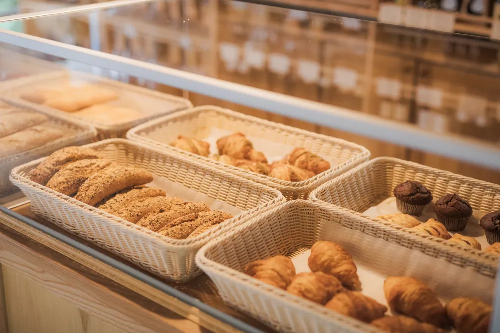 Forest Camping Mozirje