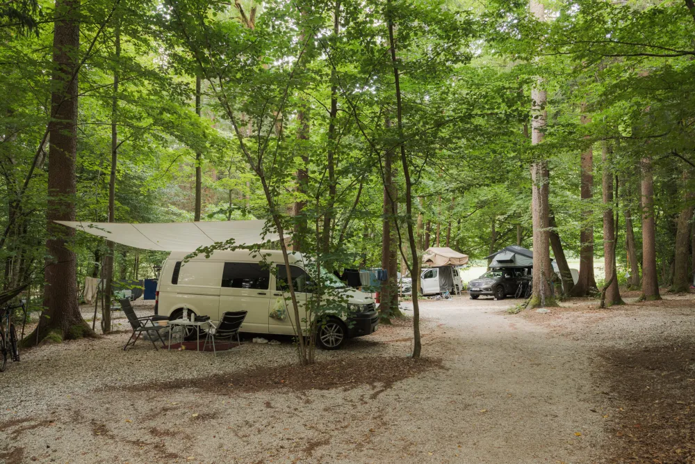Forest Camping Mozirje
