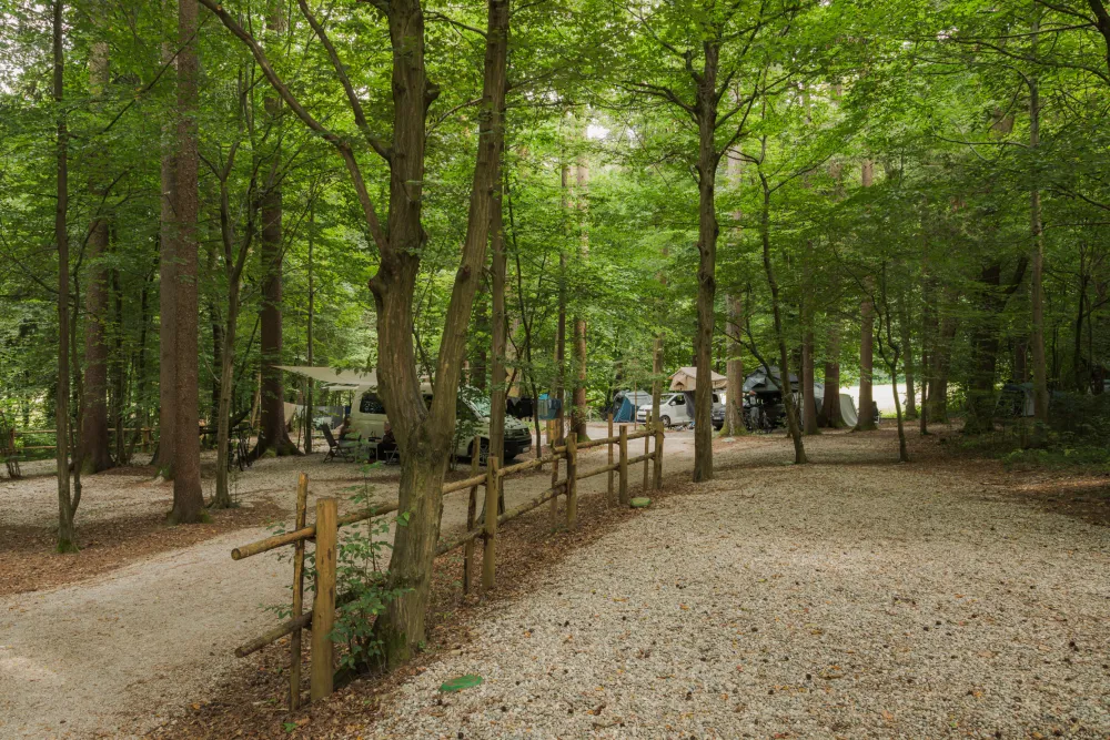 Forest Camping Mozirje