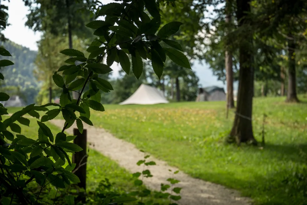 Forest Camping Mozirje