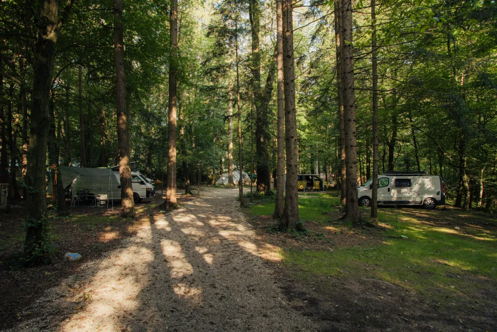 Forest Camping Mozirje