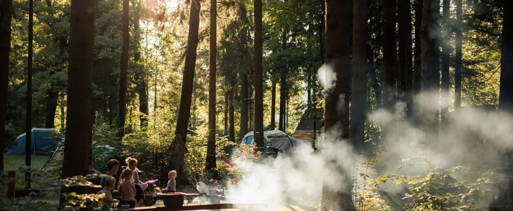 Forest Camping Mozirje
