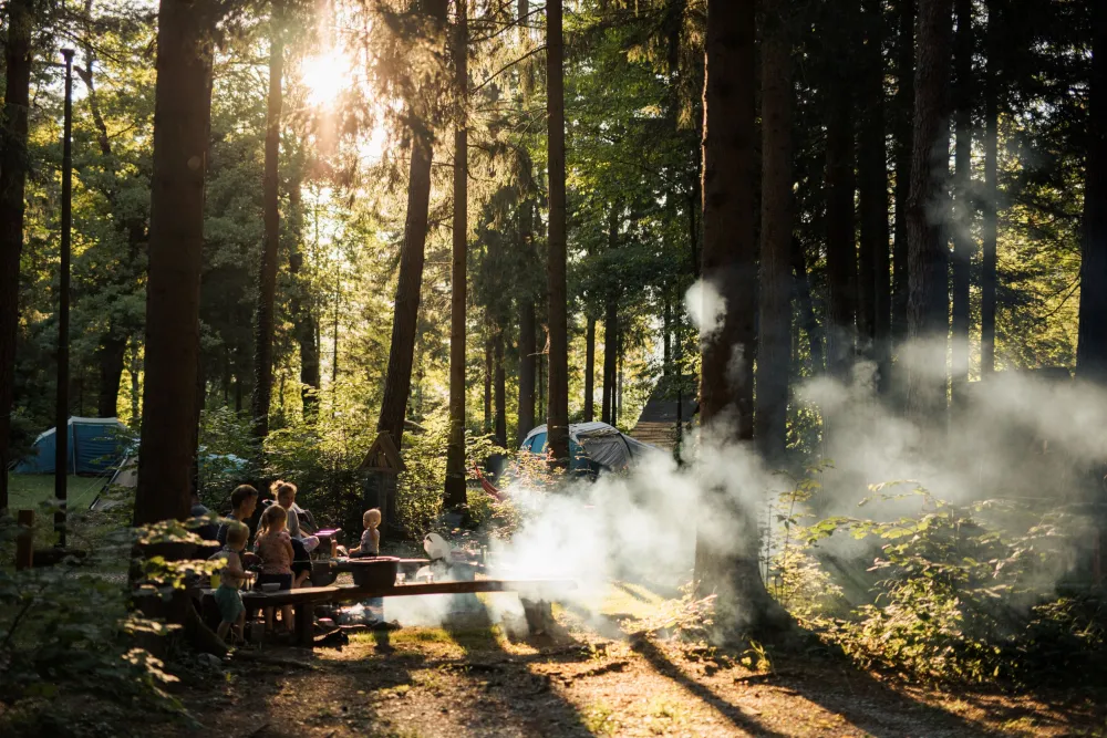 Forest Camping Mozirje