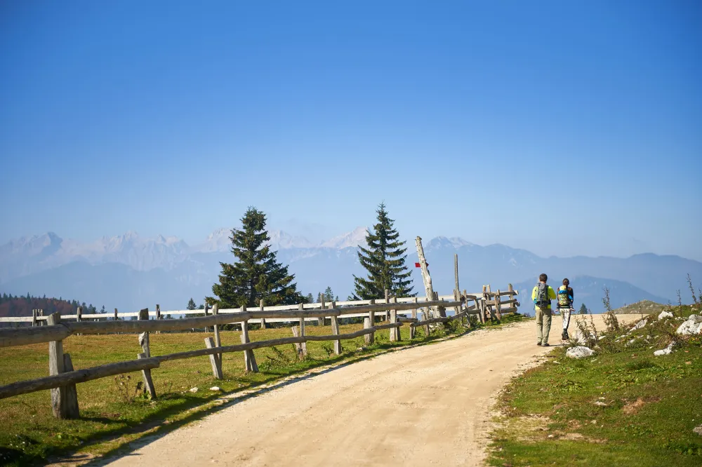 Forest Camping Mozirje