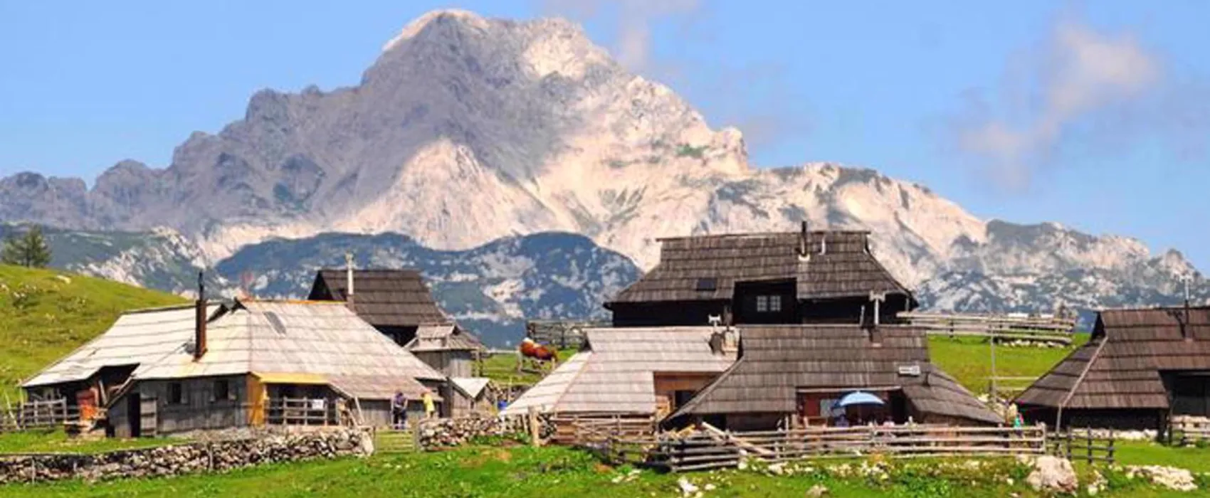 Forest Camping Mozirje