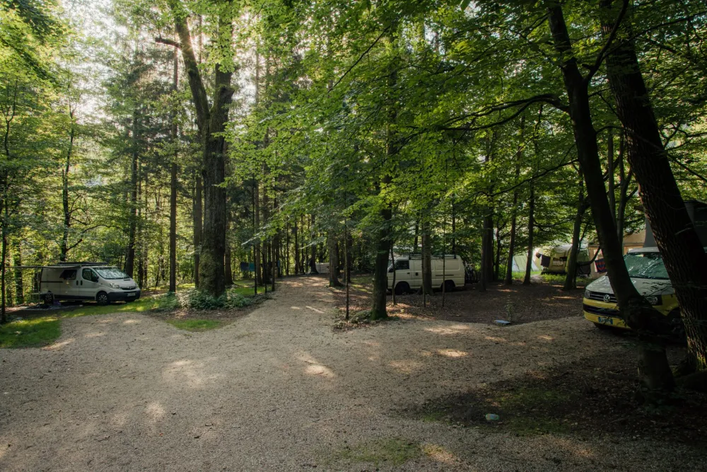 Forest Camping Mozirje