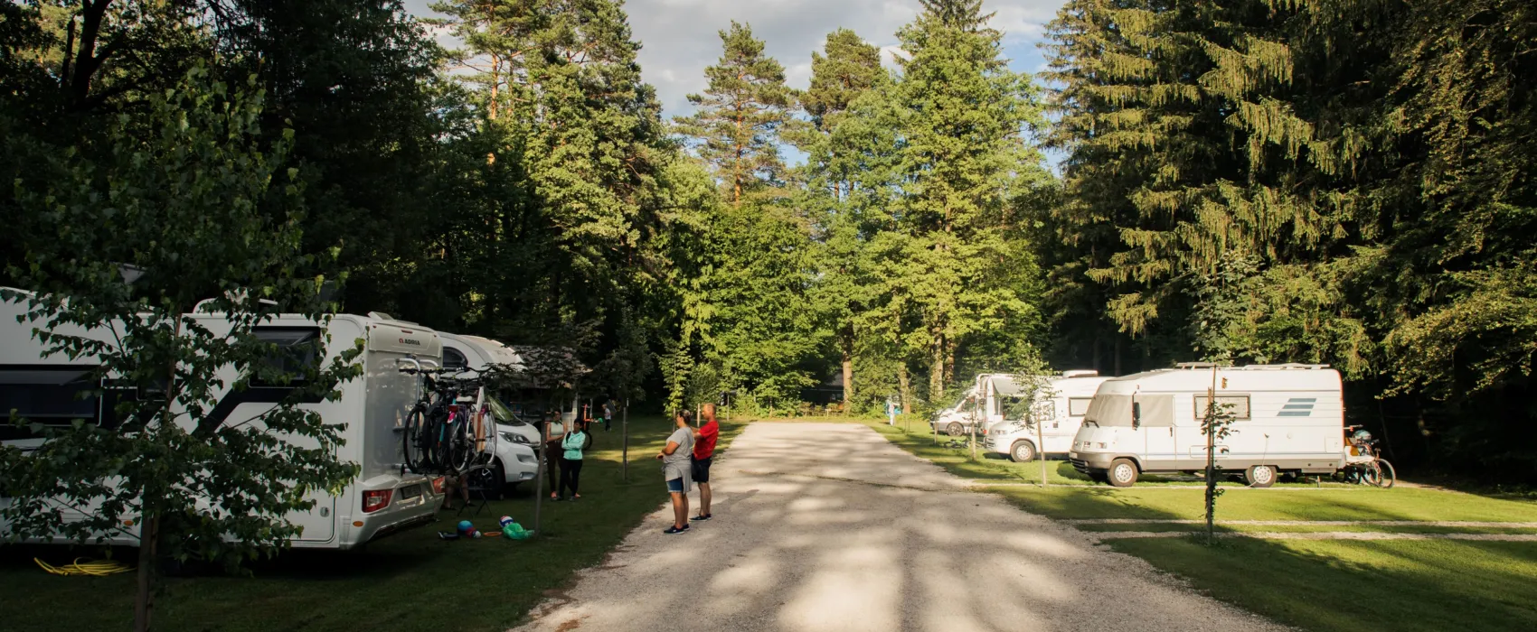 Forest Camping Mozirje