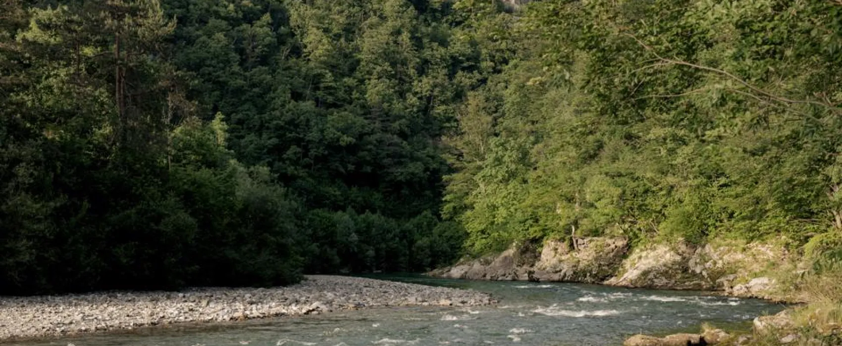 Forest Camping Mozirje