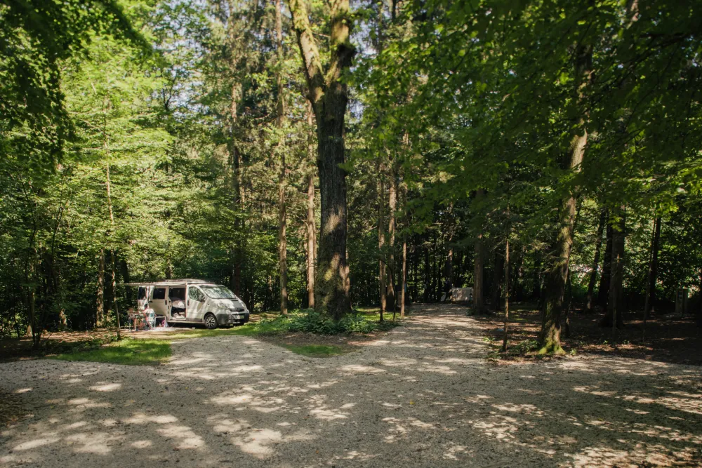 Forest Camping Mozirje