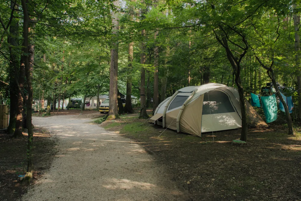 Forest Camping Mozirje