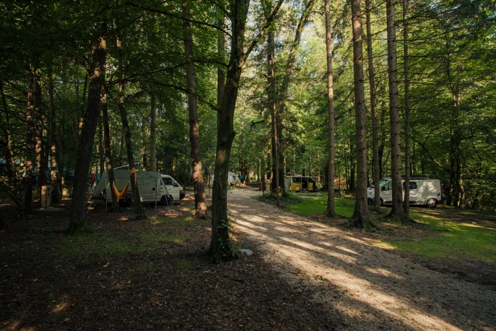 Forest Camping Mozirje