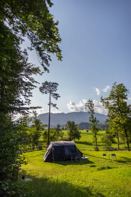 Forest Camping Mozirje