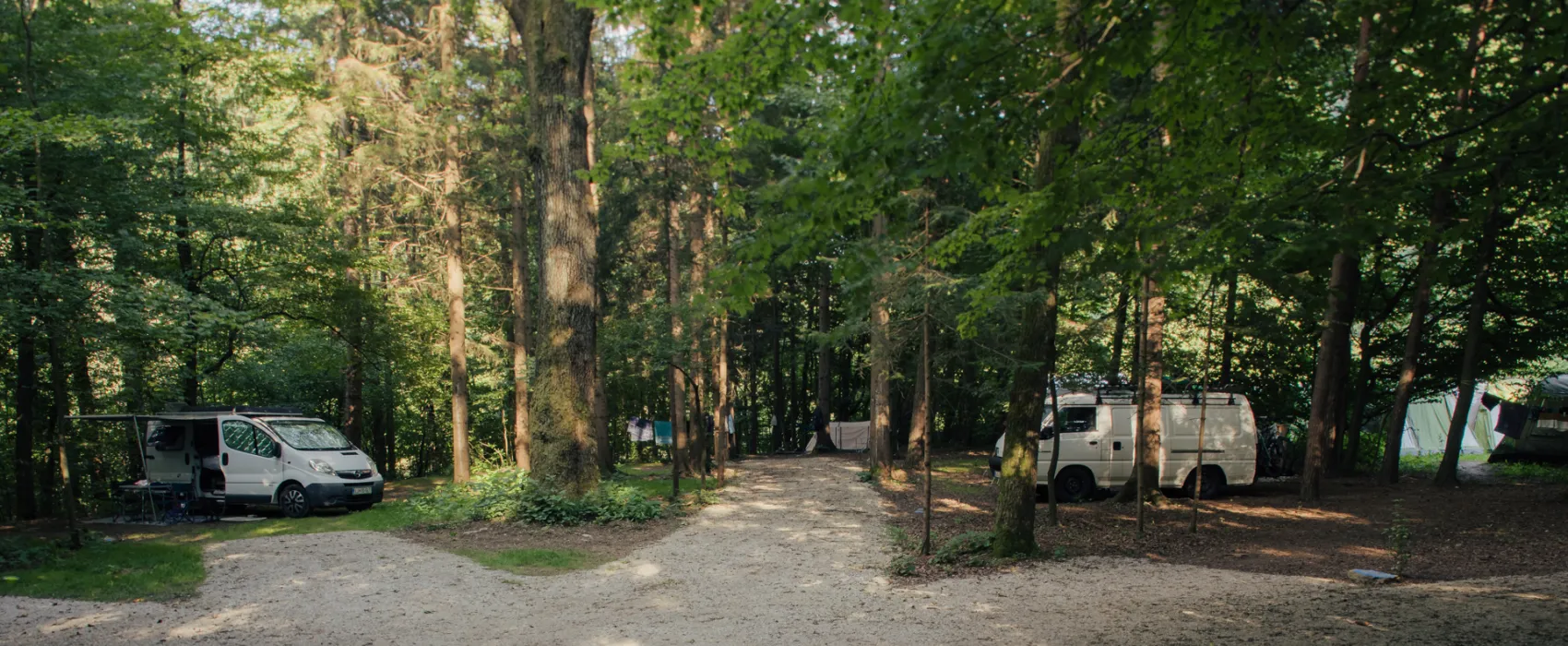 Forest Camping Mozirje