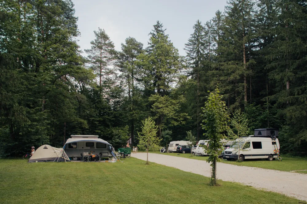 Forest Camping Mozirje