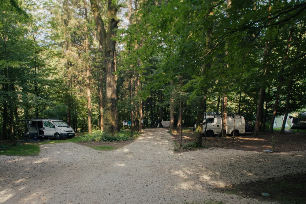Forest Camping Mozirje