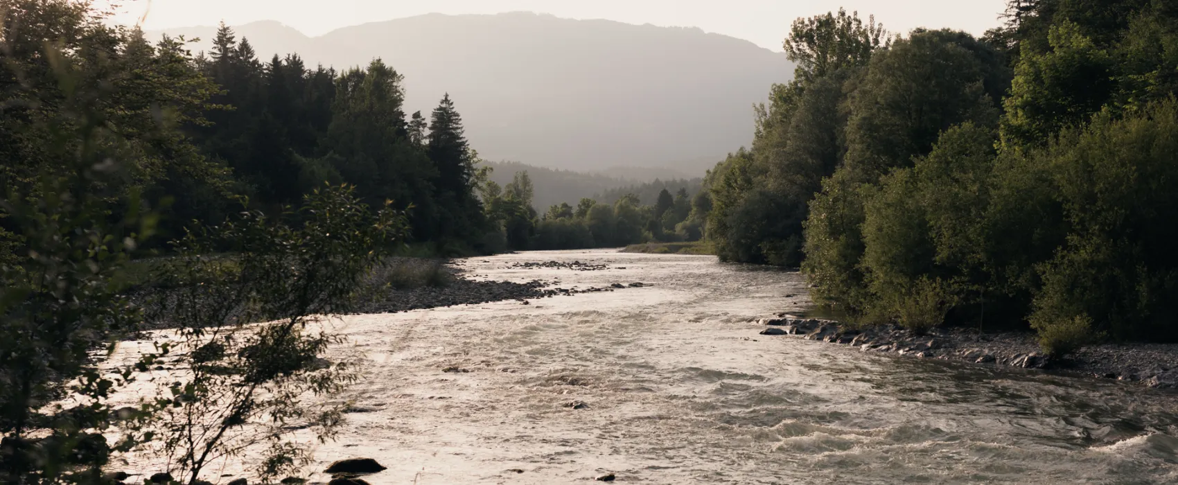 Forest Camping Mozirje