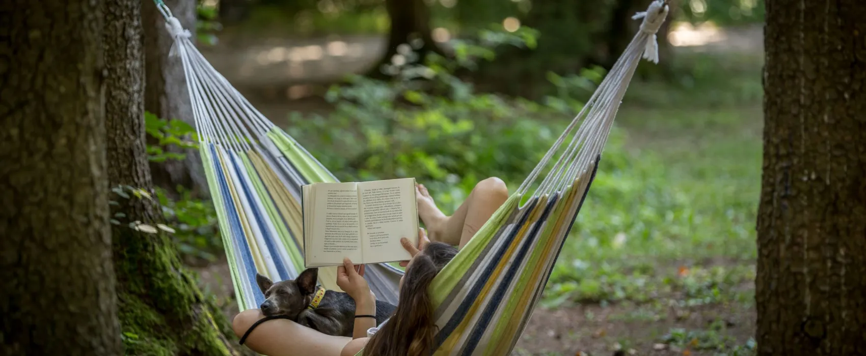 Forest Camping Mozirje