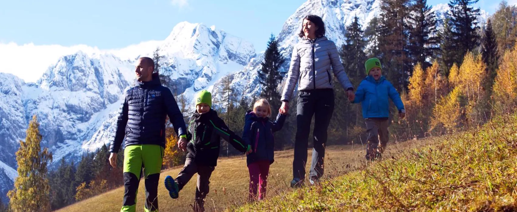 Forest Camping Mozirje