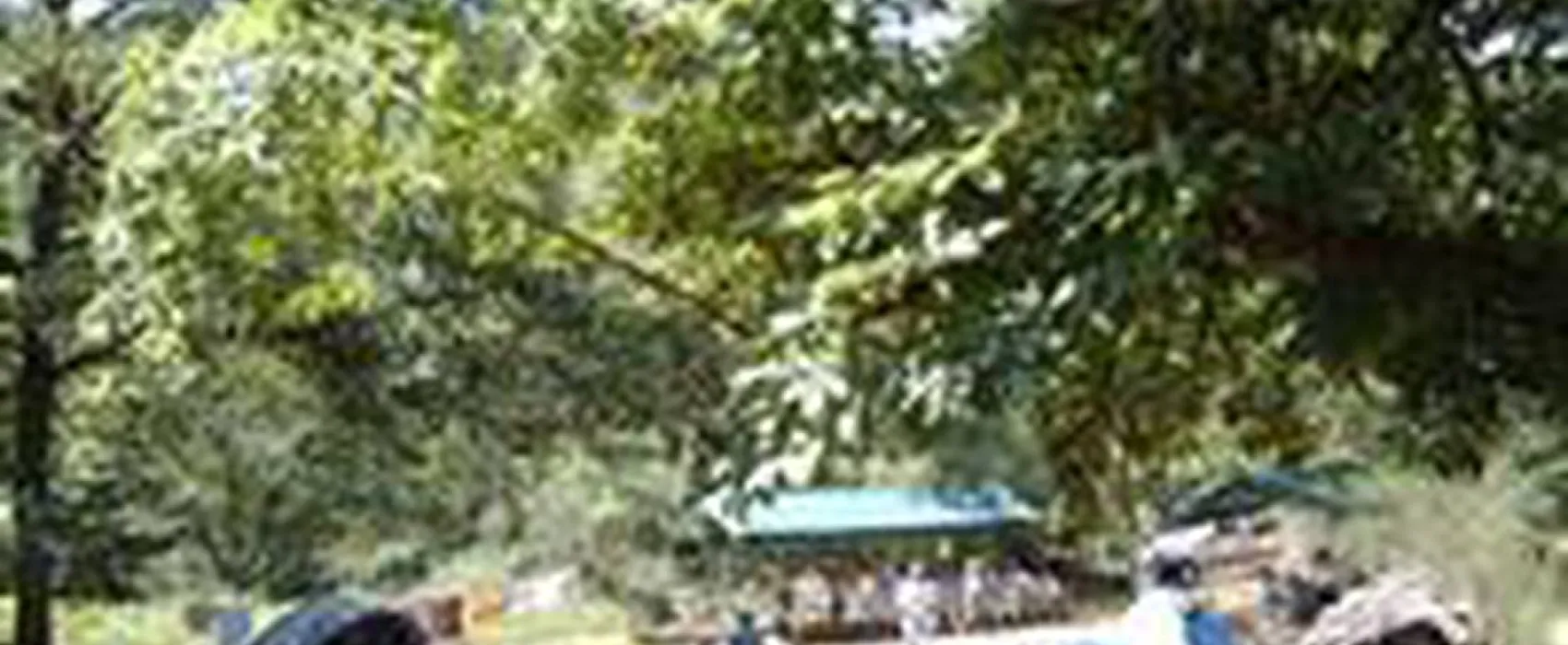 Camping de l'Ecureuil