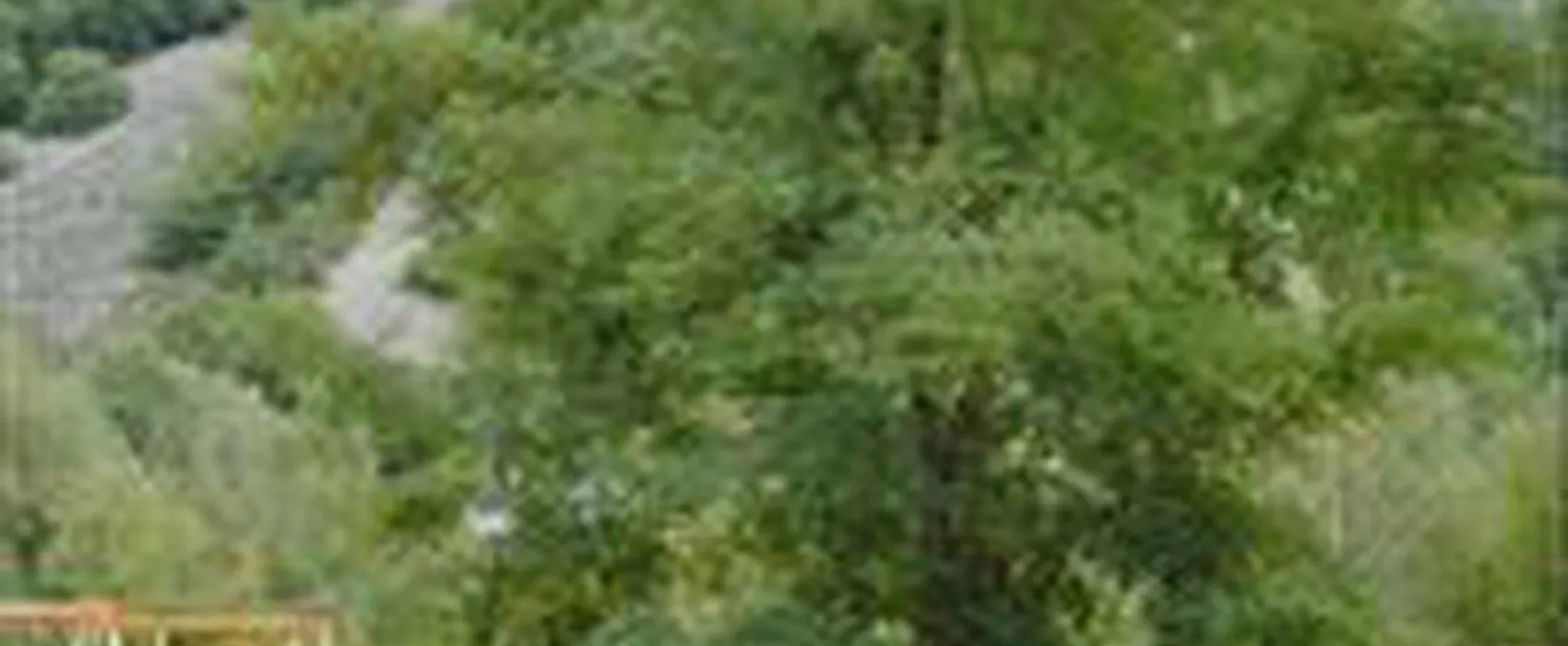 Camping de l'Ecureuil