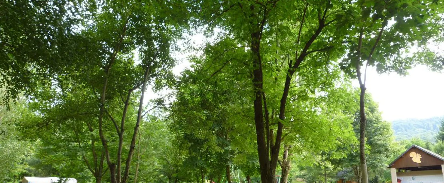 Camping de l'Ecureuil