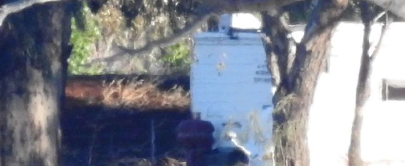 Lake Cargelligo Campground