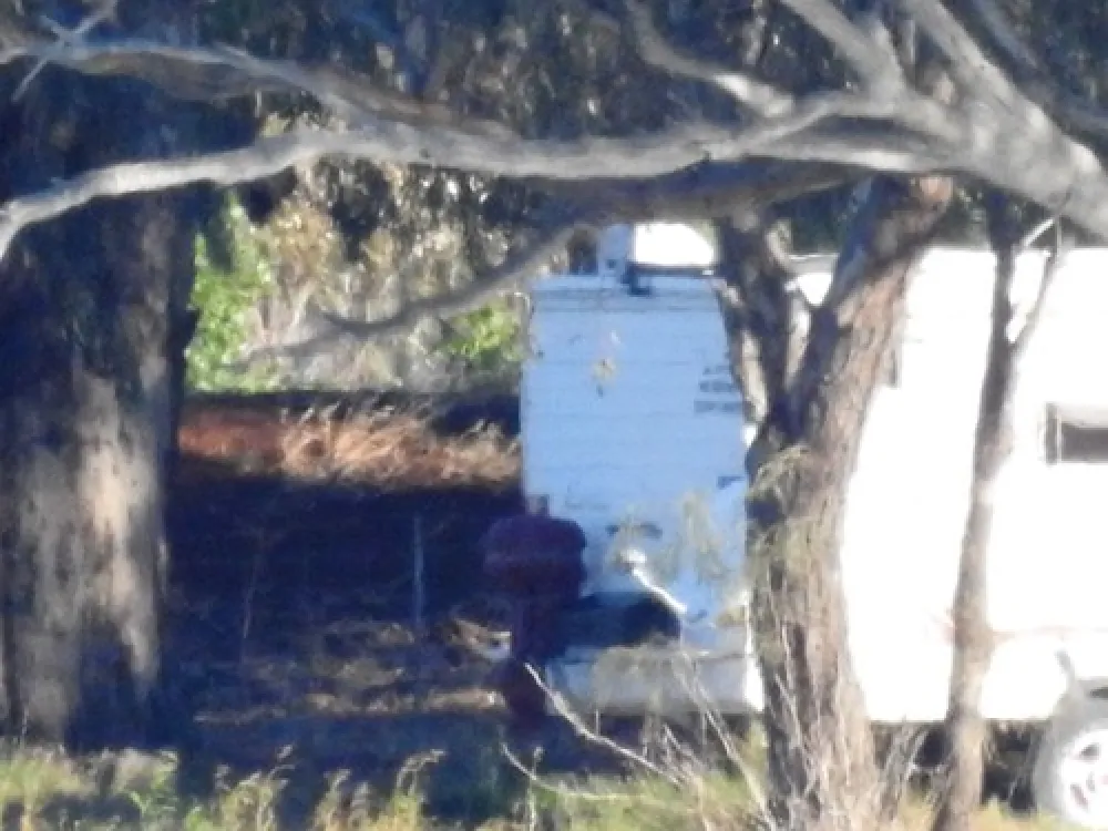 Lake Cargelligo Campground