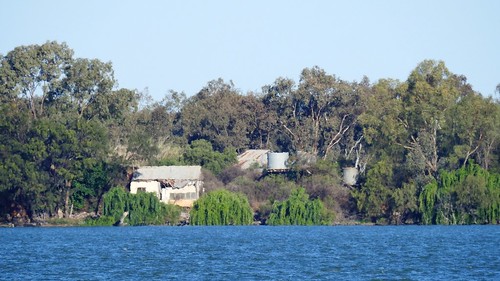 Lake Cargelligo Campground photo 4