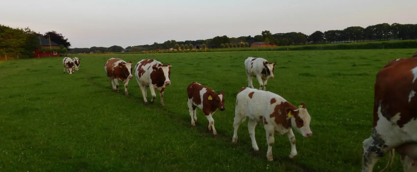 Minicamping Familie Groes