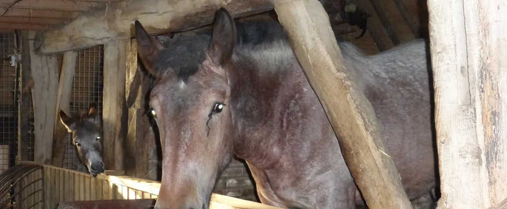 Minicamping Familie Groes