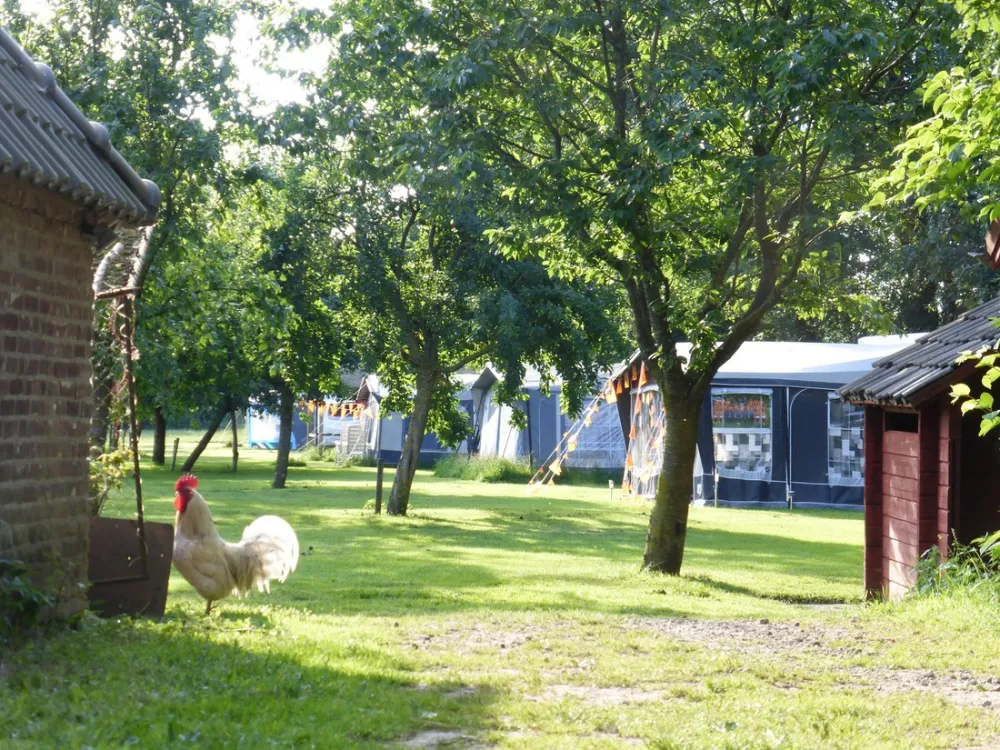 Minicamping Familie Groes