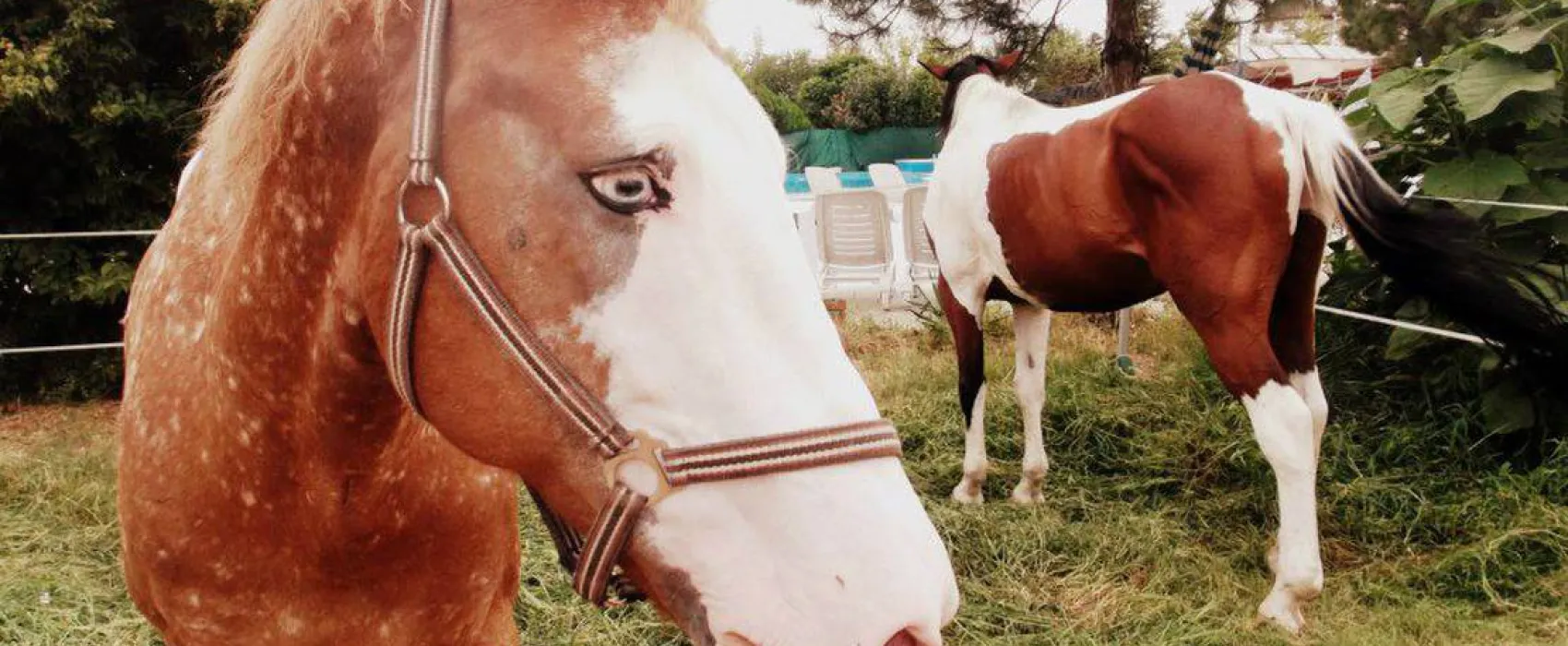 Grand Ömür Camping